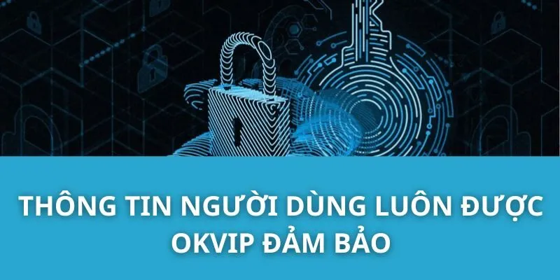 Thông Tin Người Dùng Luôn Được OKVIP Đảm Bảo