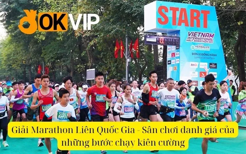 Giải Marathon Liên Quốc Gia - Sân chơi danh giá của những bước chạy kiên cường