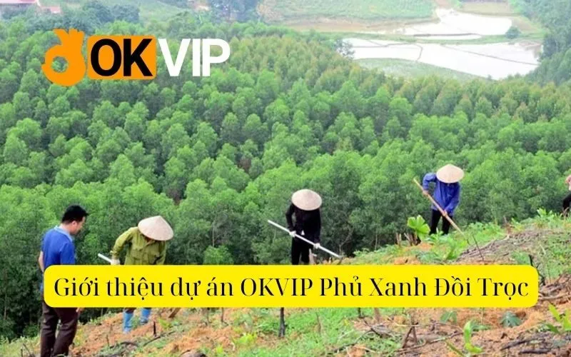 Giới thiệu dự án OKVIP Phủ Xanh Đồi Trọc