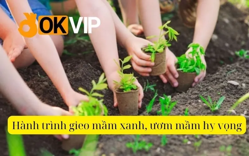 Hành trình gieo mầm xanh, ươm mầm hy vọng