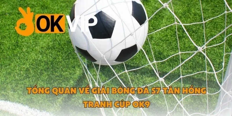 Tổng Quan Về Giải Bóng Đá S7 Tân Hồng Tranh Cúp OK9